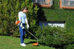 Imagen de Bordeadora A Nafta 27.2cc Stihl Fs 38 ( Desmalezadora )