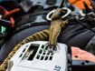 Imagen de MOTOSIERRA DE PODA 30.1CC  1.3KW  35CM  MS194T STHIL