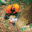 Imagen de MOTOSIERRA 91.1CC  5.0KW  7.4HP  75CM  MS651 STIHL