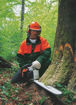 Imagen de MOTOSIERRA 91.1CC  5.0KW  7.4HP  75CM  MS651 STIHL