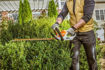 Imagen de CORTASETOS CORTACERCO A BATERÍA HSA 45 STIHL