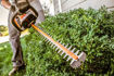 Imagen de CORTASETOS CORTACERCO A BATERÍA HSA 45 STIHL